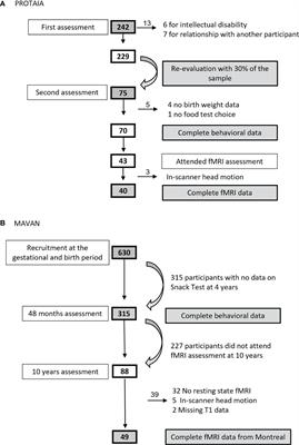 Thrifty-Eating Behavior Phenotype at the Food Court – Programming Goes Beyond Food Preferences